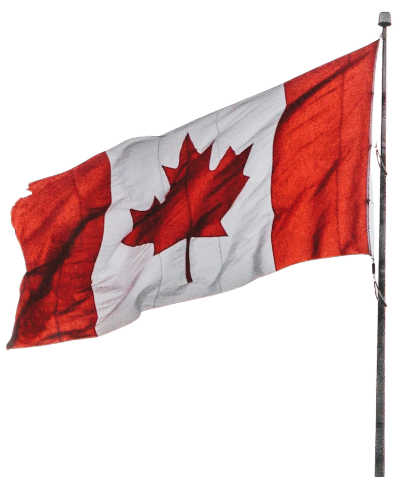 Best Website Service in Canada